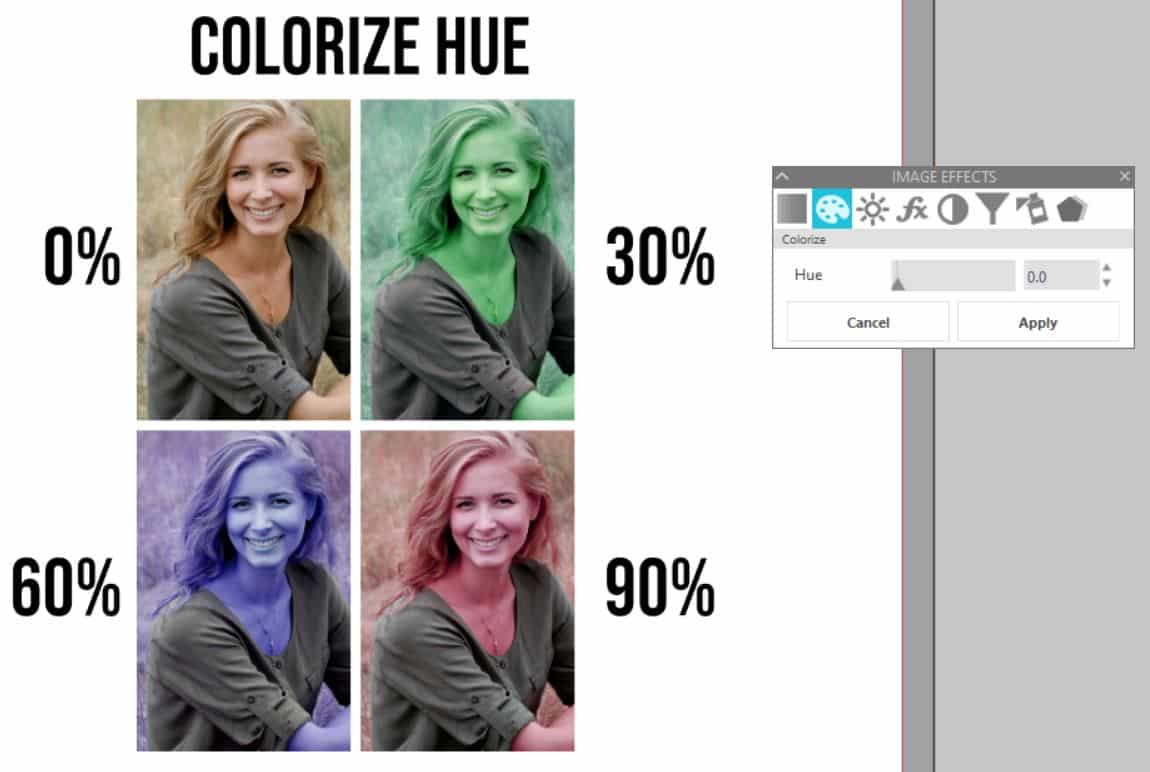 image effects colorize on photo in Silhouette